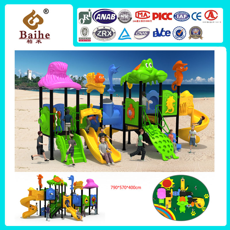 Playground Equipment BH007