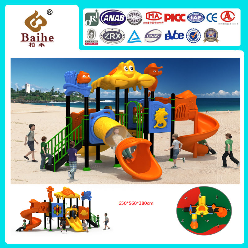Playground Equipment BH011
