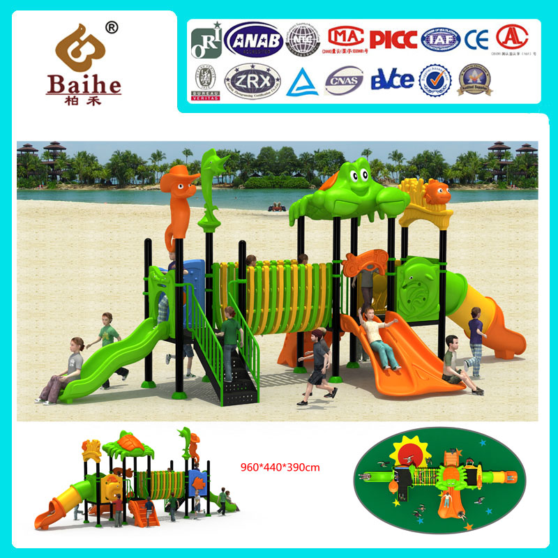 Playground Equipment BH012