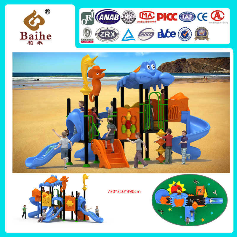 Playground Equipment BH013