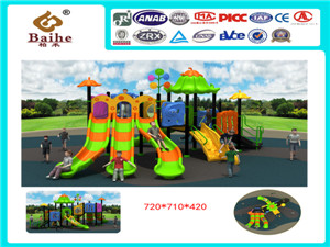 Playground Equipment BH039